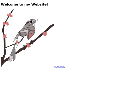 illurstrater/bird screenshot