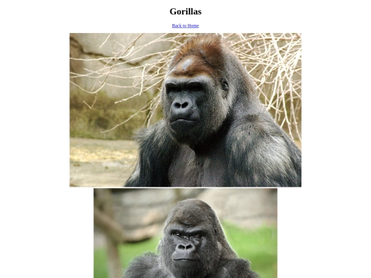 Gorilla screenshot