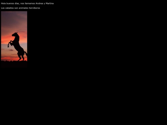 imagen screenshot