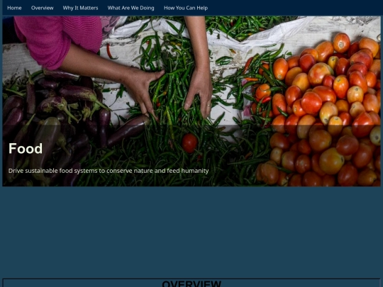 food_lack_FP screenshot