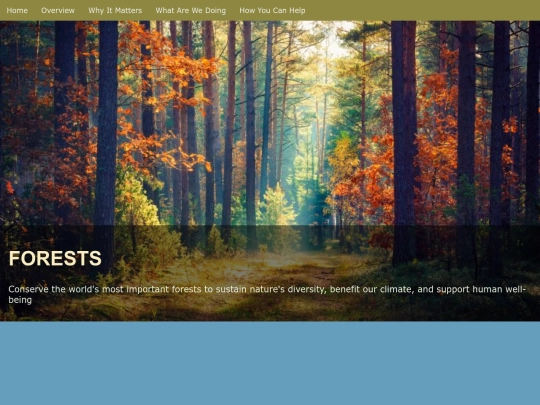 forests_FP screenshot