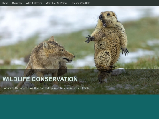 wildlife_FP screenshot