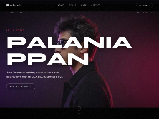 palani-portfolio screenshot