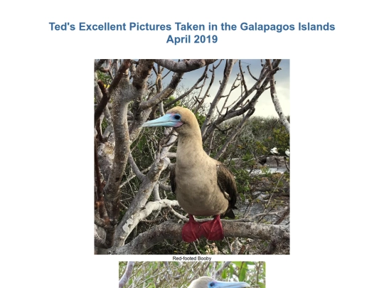 Ecuador/Galapagos2019 screenshot