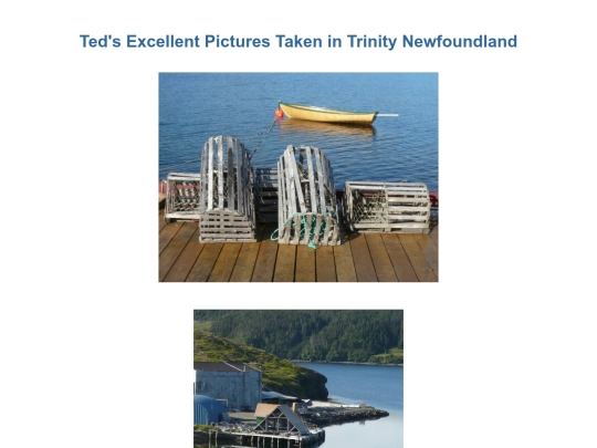 NLSPM/Newfoundland3 screenshot