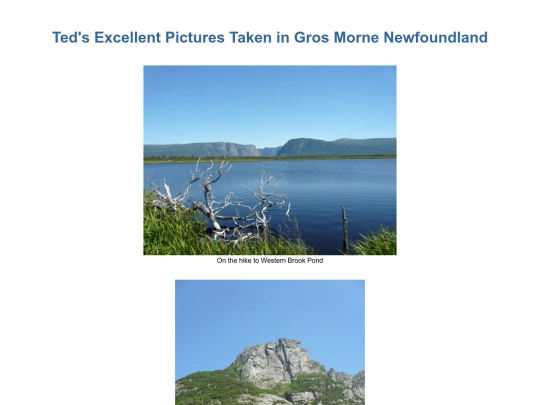 NLSPM/Newfoundland4 screenshot