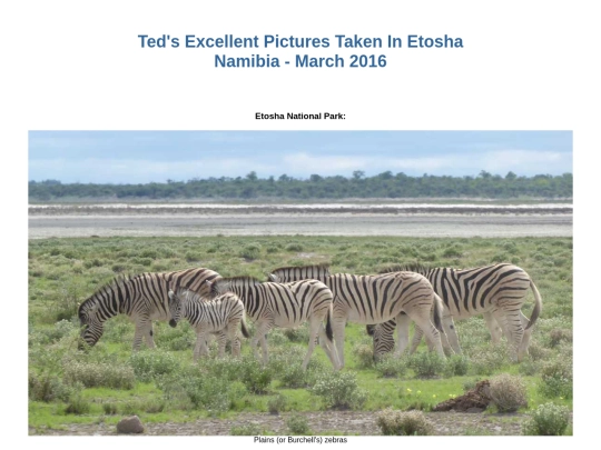 SouthernAfrica2016/NamibiaEtosha screenshot
