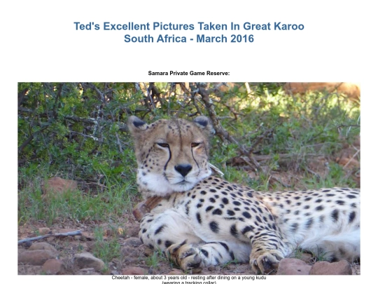 SouthernAfrica2016/SouthAfricaKarooPart2 screenshot