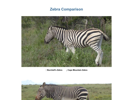 SouthernAfrica2016/ZebraComparison screenshot