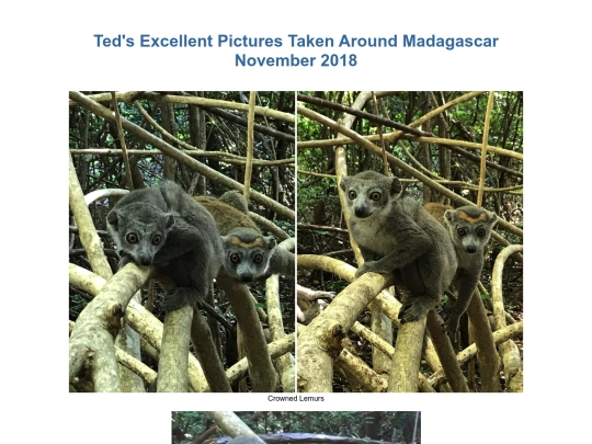 SouthernAfrica2018/Madagascar screenshot