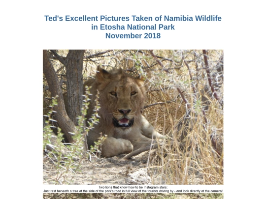 SouthernAfrica2018/NamibiaEtosha screenshot