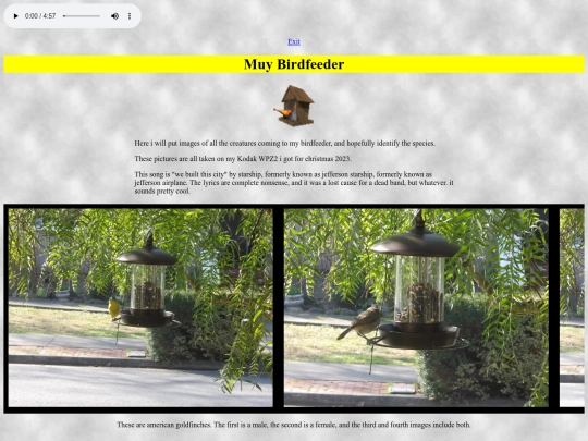 birdfeeder screenshot