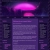 oddsockzx.neocities.org avatar