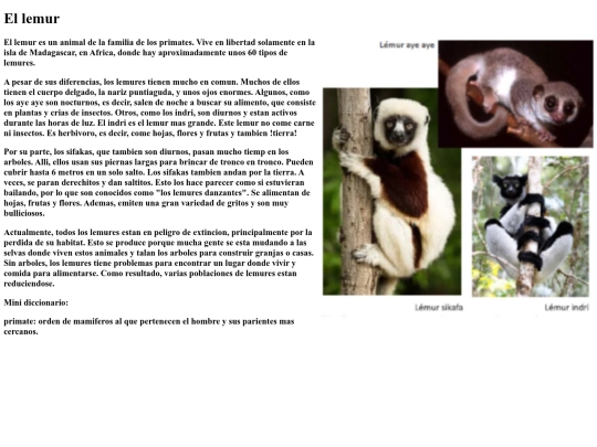 el lemur screenshot