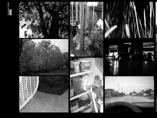 photogallery/october24 screenshot