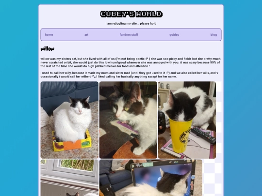 willow screenshot