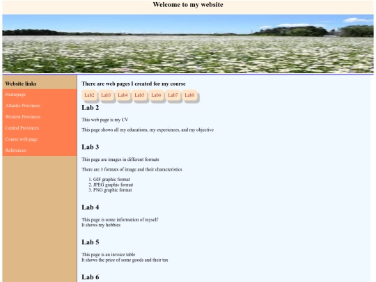 Course web pages screenshot