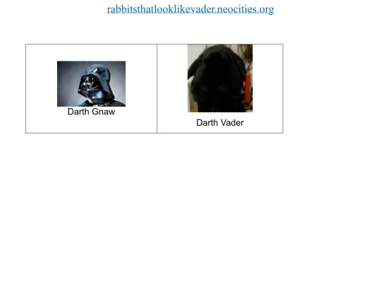 rabbitsthatlooklikevader screenshot