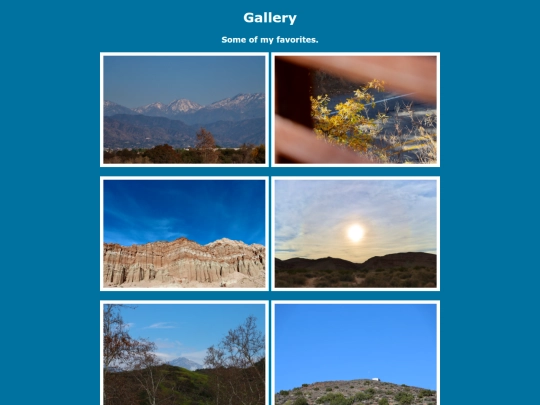 gallery screenshot