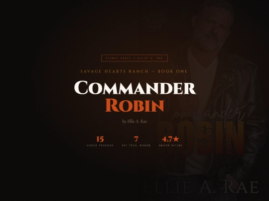 Content-Proposal/Commander_Robin screenshot