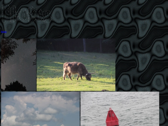photos screenshot