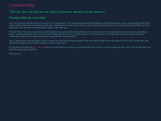 articles/tech-niche screenshot