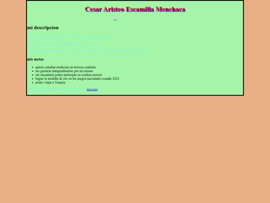 practica1css screenshot