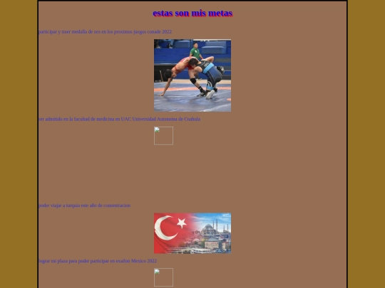 todas las paginas/metas screenshot