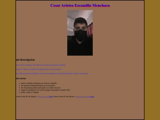 todas las paginas/principal screenshot