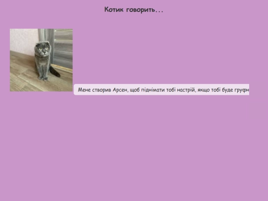 kotik_website_updated screenshot