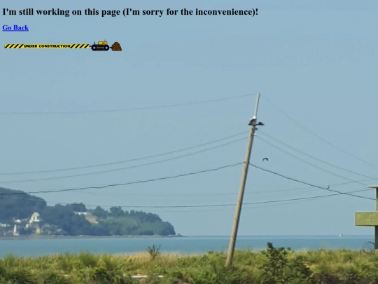 underconstruction screenshot
