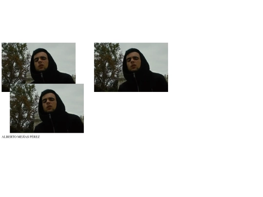 Pginaweb screenshot