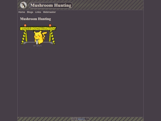 blogs/mushroom screenshot