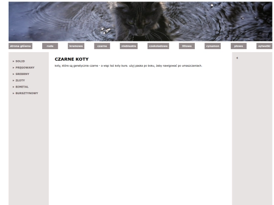 czarne/czarne screenshot