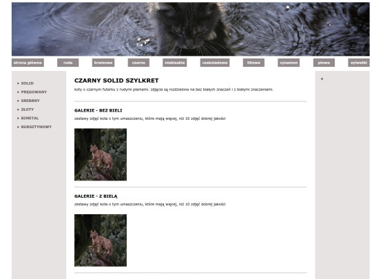 czarne/solid/szylkret screenshot