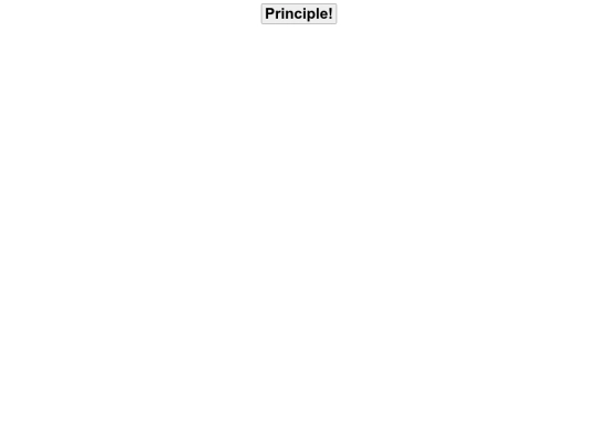 principles screenshot