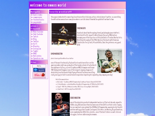 wrestlers screenshot
