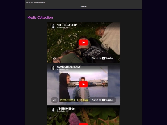 Vids screenshot