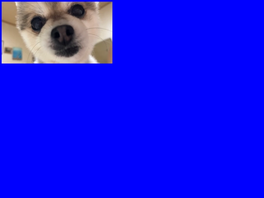 blank2 screenshot