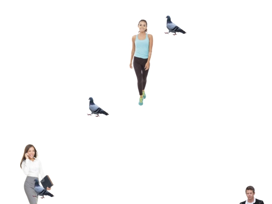 pigeon screenshot