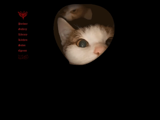 cats screenshot