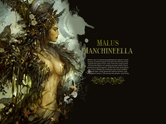 manchineella screenshot