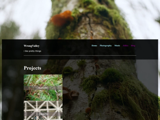 photography screenshot