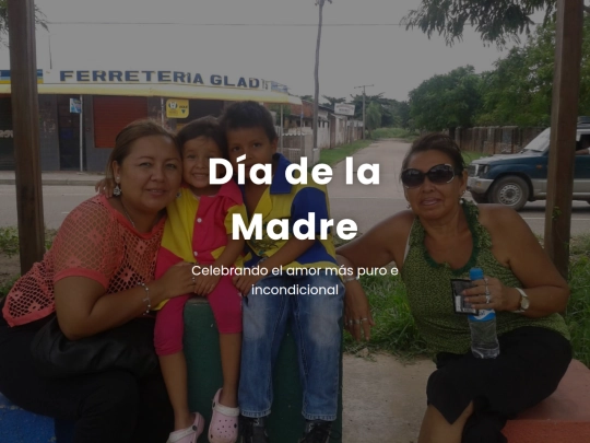 ddlm screenshot