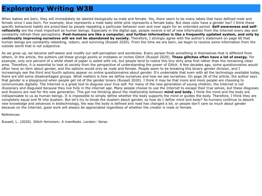 ExploratoryWriting_Susy/ExploratoryWriting_3B screenshot