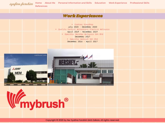 workexperience screenshot