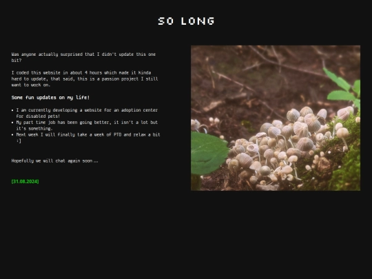 blog/2-so long screenshot