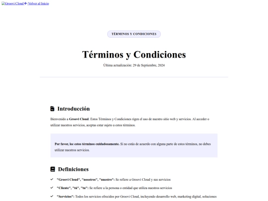 terminos-condiciones screenshot