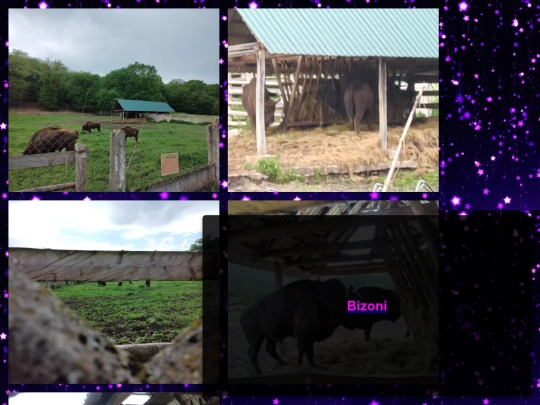html-uri/zoo screenshot