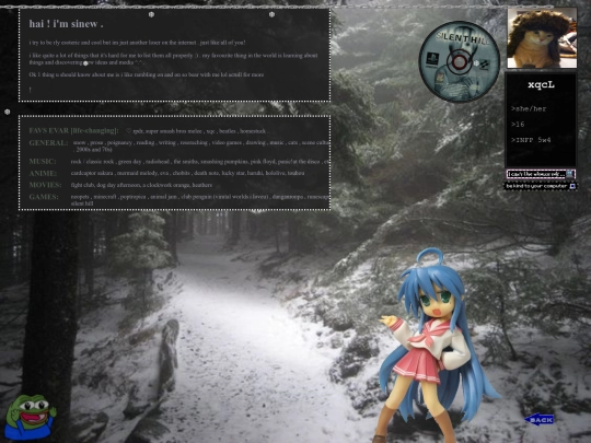 about screenshot